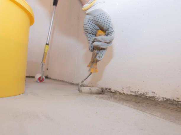 Best Real Estate Pest Inspections  in Edmore, MI